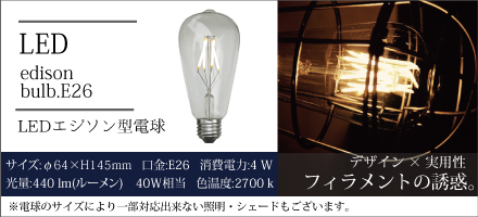 LEDエジソン型電球